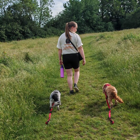 Evie & Indigo on an evening wander